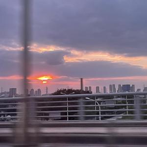 国产网址在线观看
