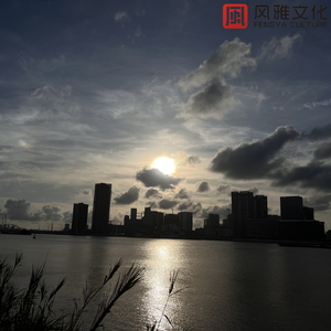 国产网址在线观看
